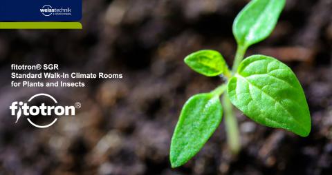 Fitotron SGR bejárható tesztkamrák növény és rovar kísérletekhez
